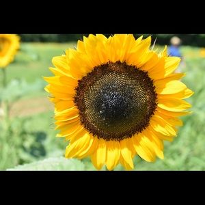 Meet your Posher, Taylor